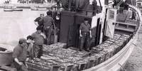 Photo d'archive du "Dénicheur", thonier-bolincheur chargé de 9 000 kg de sardines (Photo: Daniel Velez)