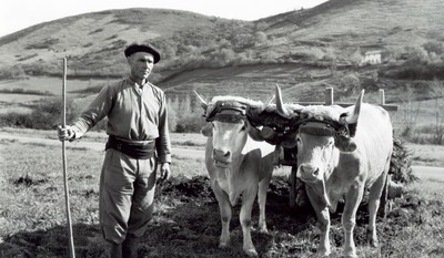 Laborari bat Senperen (1950eko hamarkadan) © Christian Jougleux